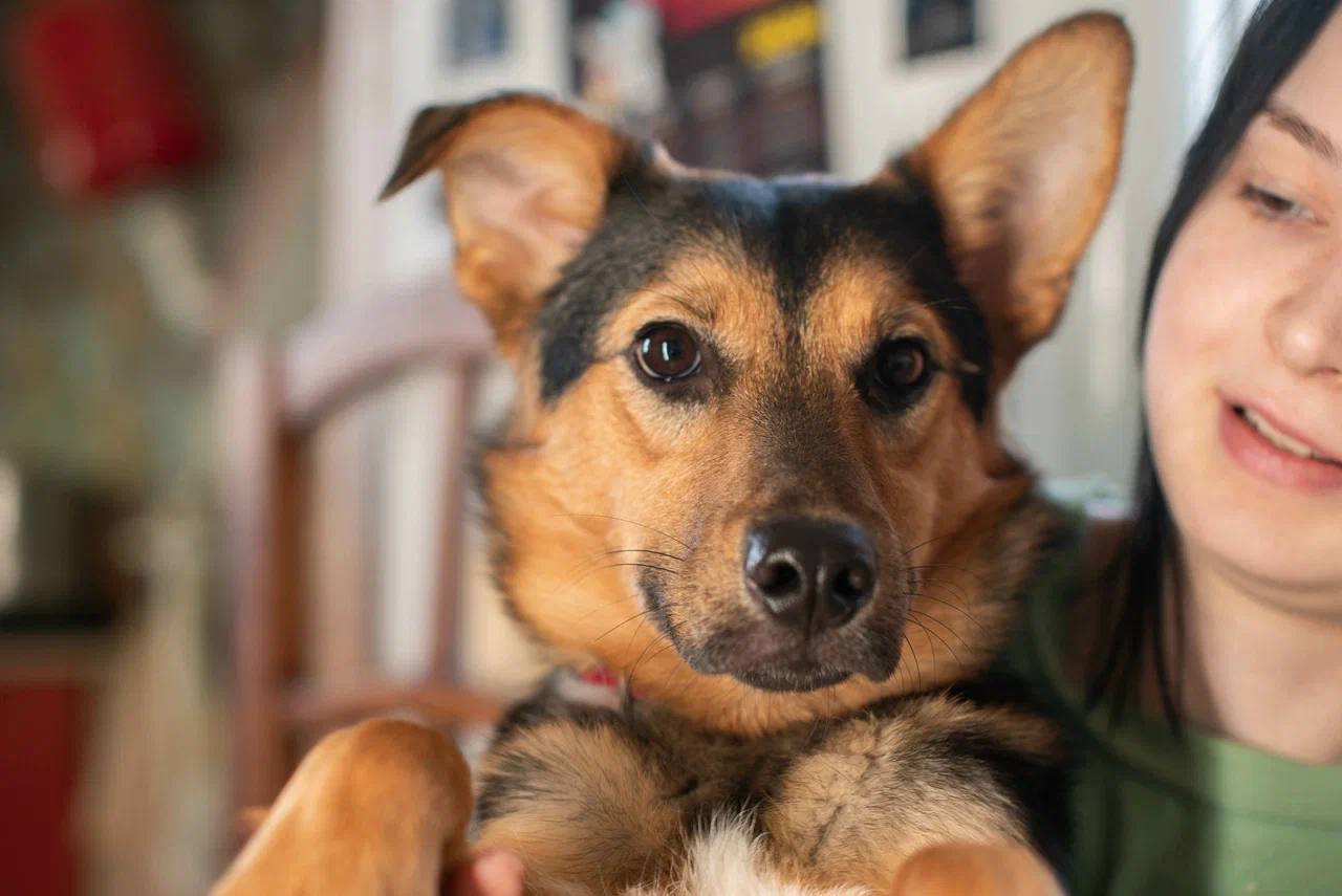 Бетти - фото 1