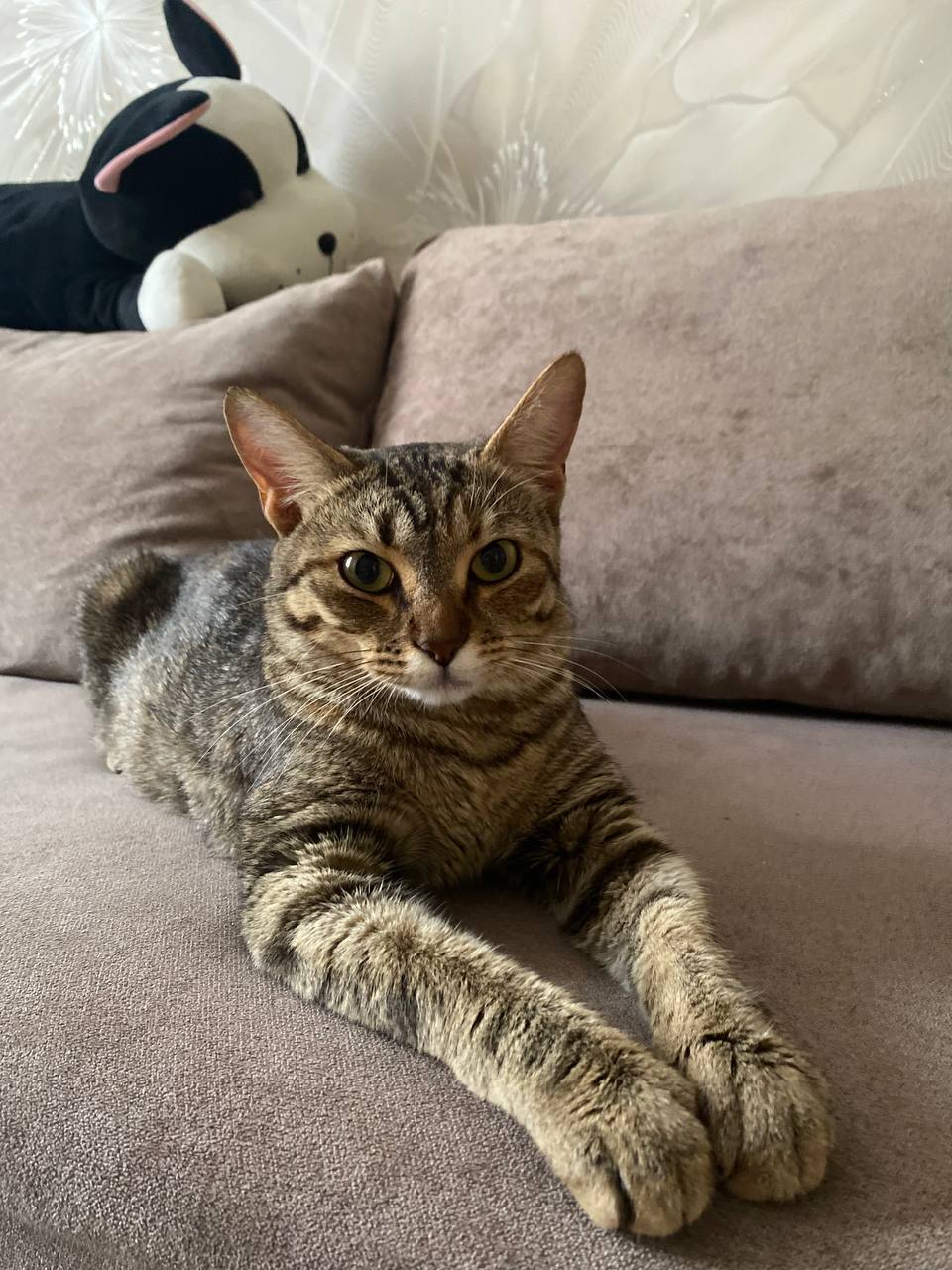 Изма - фото 1