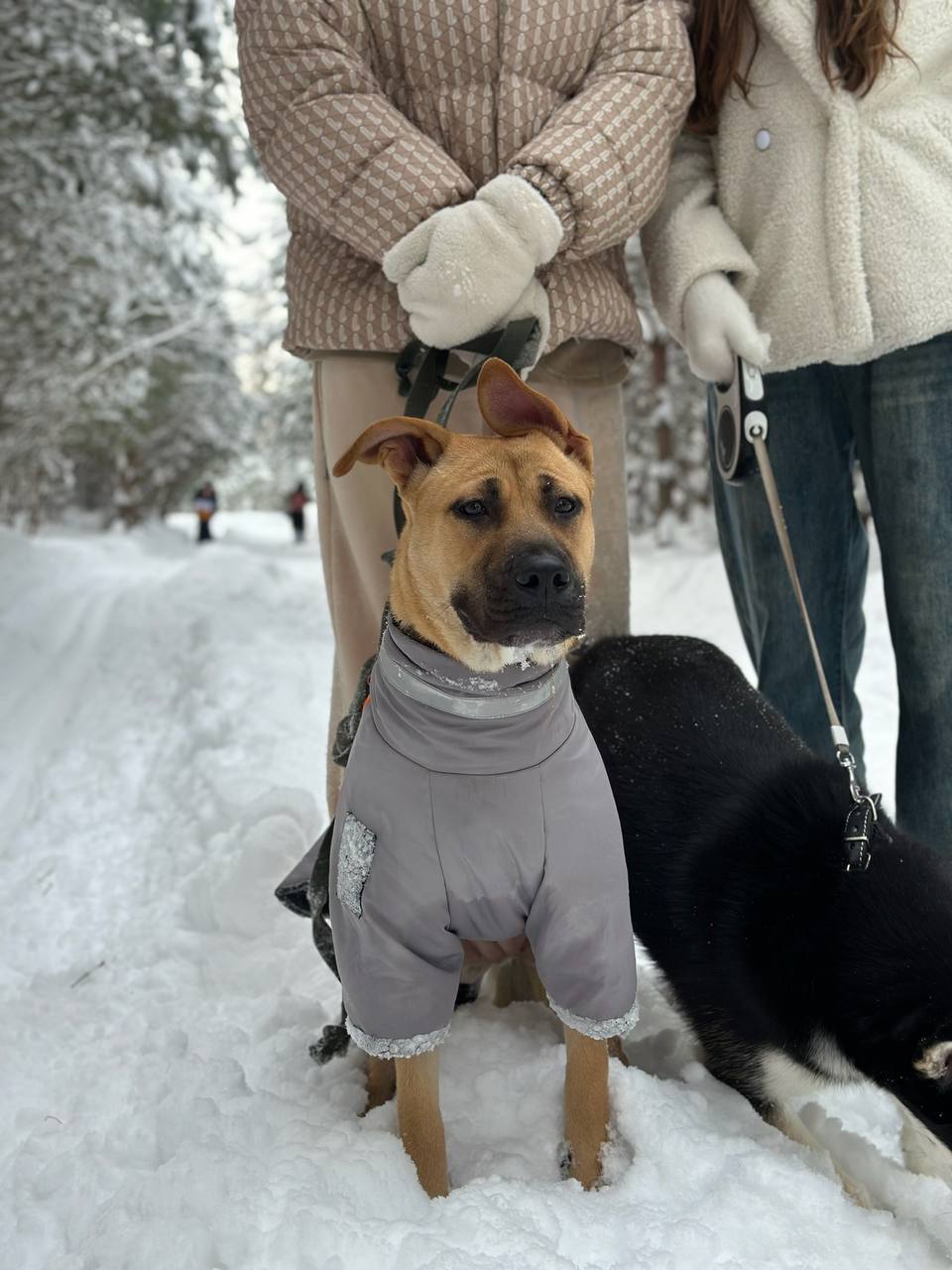 Молли - фото 1