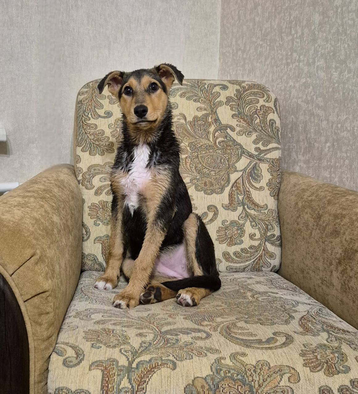 Найда - фото 1